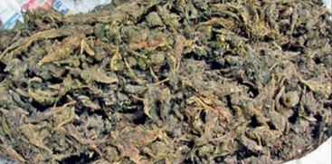 Ganja Seized In Palakkad Railway Station