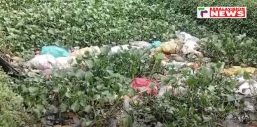 Alappuzha's Thazhavayal creek is full of watercress, moss and plastic