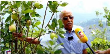 Kanthalur's agricultural prosperity is further boosted by the apple season