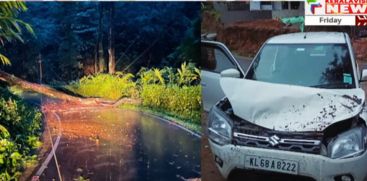 A tree fell on top of a car which was running on Idukki Kallar Mankulam Road