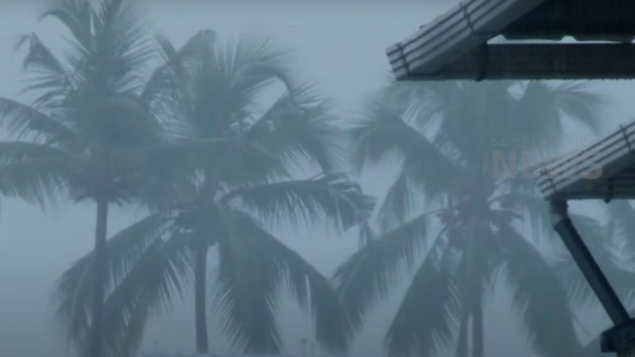 Heavy rains: Yellow alert in 6 districts in Kerala