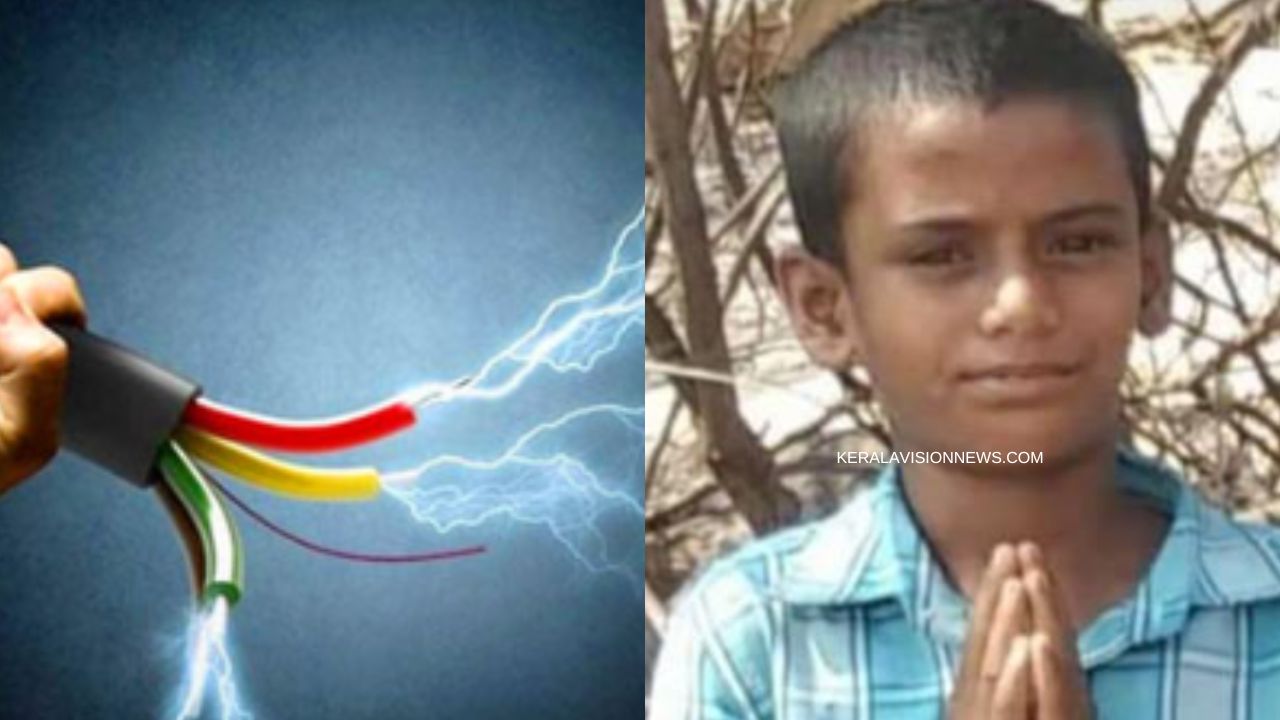 12-year-old K'taka boy dies of electrocution while saving pigeon on power line