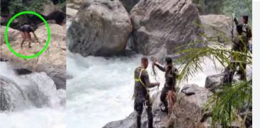 all-3-people-trapped-in-the-needle-rock-were-rescued