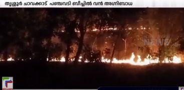 FIRE BROKE OUT AT PANCHAVADI BEACH