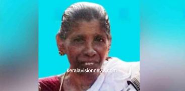 elder women dies in accident after sabarimala visit 