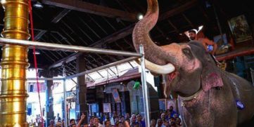 Guruvayoor Temple Reverses Elephant Ban Decision