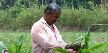 Raghavan, a native of Kasaragod, is achieving great success in agriculture even in the scorching summer