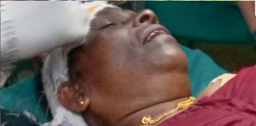 woman-injured-elephant-attack-gudallur