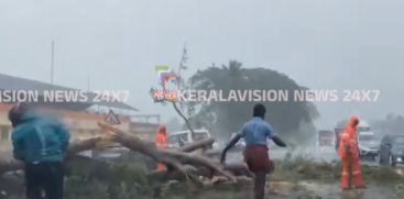 
A tree in front of the railway station has fallen due to heavy rain in Cherthala