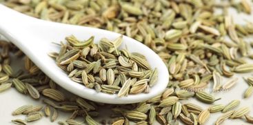 Fennel seeds and its health benefits