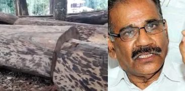 muttil tree cutting reaction by Minister AK sasheendran