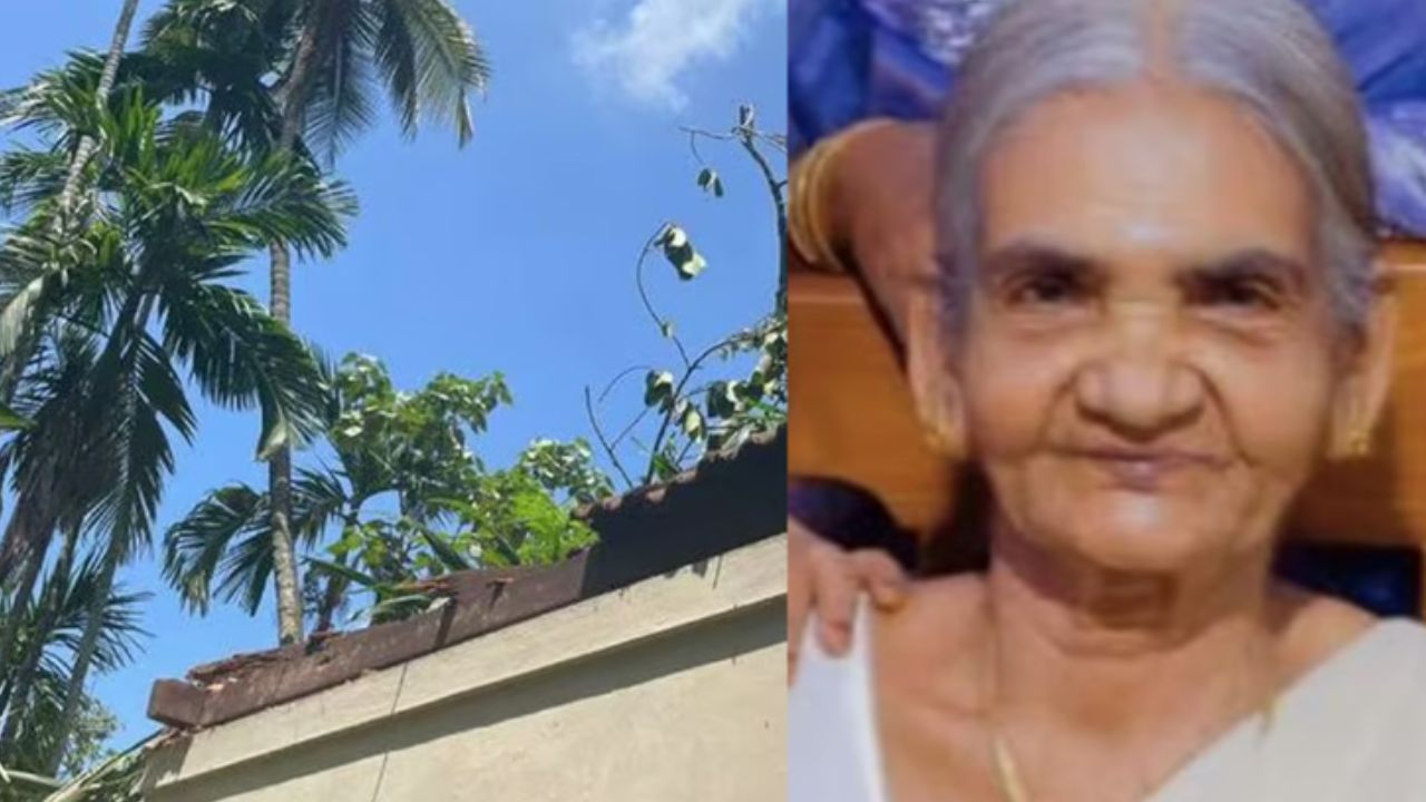 palm-fell-elderly-woman-died