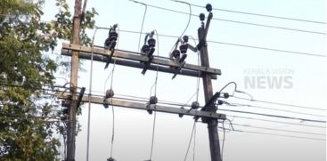 KSEB demands region-wise electricity regulation