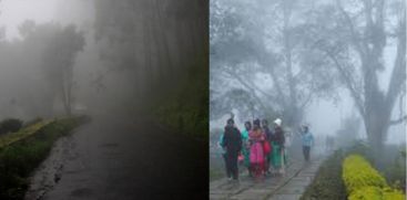 Munnar Monsoon