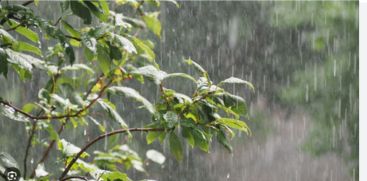 weather alert rain alert in kerala 