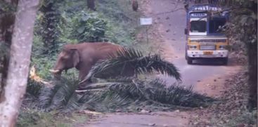 Kattappa blocked the road near Ezhatmugam check post