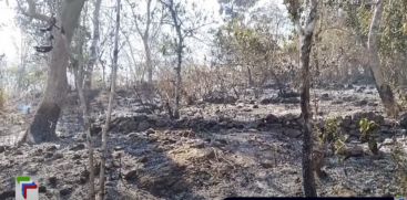 Acres of farmlands are burning in forest fire in Idukki