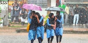 heavy rain;holiday for educational institutions in 7 districts today