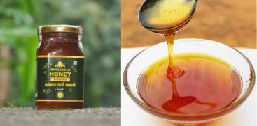 Project of Kerala Government; Wayanad Honey Based products introduction to the Market