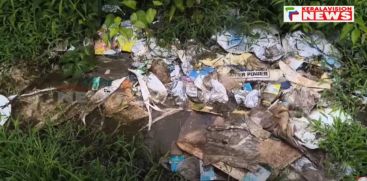 Rock ponds in Kannur Matamangalam are carriers of deadly diseases