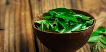 How to prevent Cholesterol with curry leaves...