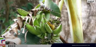 Farmers' crisis continues