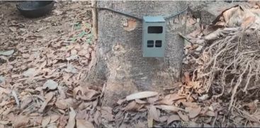 Locals said they have seen tiger footprints again in Kannur Kelakam