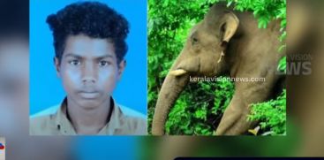 A student was seriously injured in a wild elephant attack in Wayanad