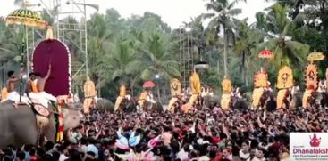 60 veterans lined up.... The historic Kollam elephant procession was held