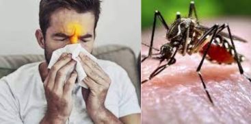 Viral Fever  and Dengue cases increased in Kerala