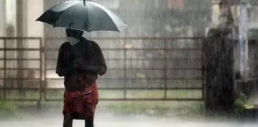 Rain in Kerala ; 5  district yellow Alert 