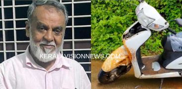 two-wheeler-hits-wild-boar-driver-dies