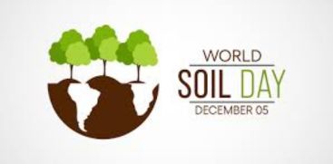 Today is World Soil Day