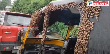 Bees suddenly came and made a nest in the parked auto