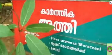 latest news from konni