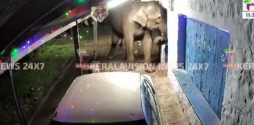 Another wildelephants attack in Munnar's residential area