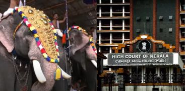 High Court Issues Guidelines for Elephant Processions