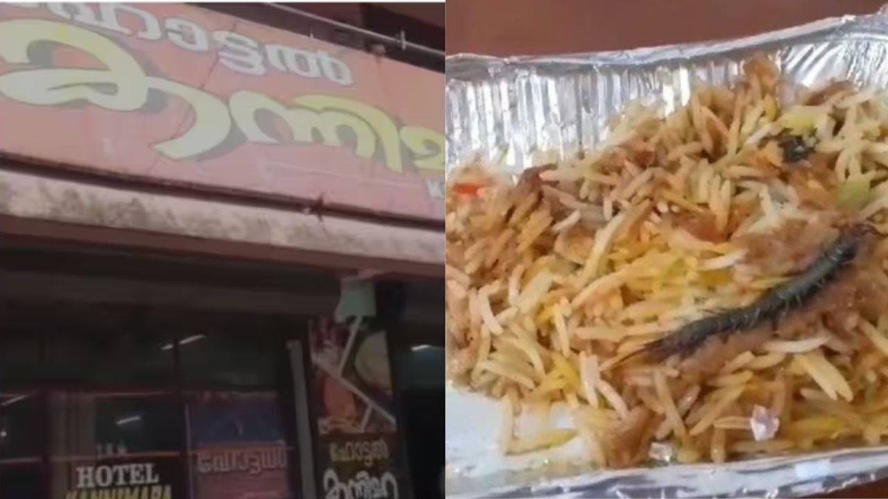 dead-centipedes-in-chicken-biriyani-bought-from-hotel