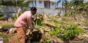 In Thrissur Athirapilli Vettilapara, the forest has destroyed crops extensively