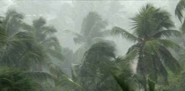 rain-yellow-alert-thursday-and-friday-in-kozhikode-and-wayanad-rain-in-all-districts-in-three-days-imd-district-vise-latest-rain-updates-kerala