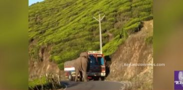 Padayappa stopped the lorry; Efforts to divert the lorry caused a traffic jam for half an hour