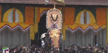 latest news from thrissur pooram