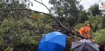 Heavy winds caused widespread damage in Kottayam