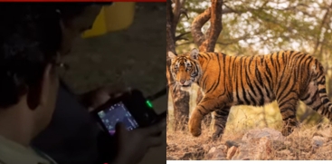 Grampi Residents Fear Tiger