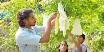 GIRLS VEGETABLE FARMING