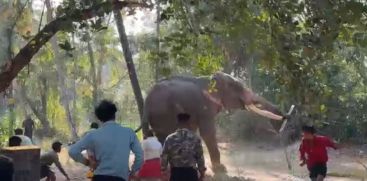 The elephant brought to the festival in Kunnamkulam become violent