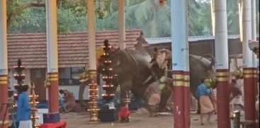  Koyilandy Temple Tragedy: