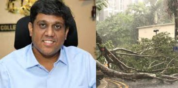 Owners Are Fully responsible For Acciodent s Caused by Falling Trees; Eranakulam District Collector 