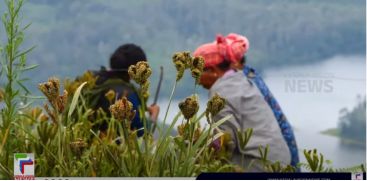 Tribal farmers planted hundreds of crops in the valley of Mathiketan Chola