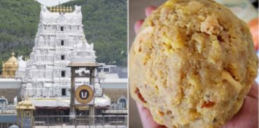 Tirupati Temple Laddu